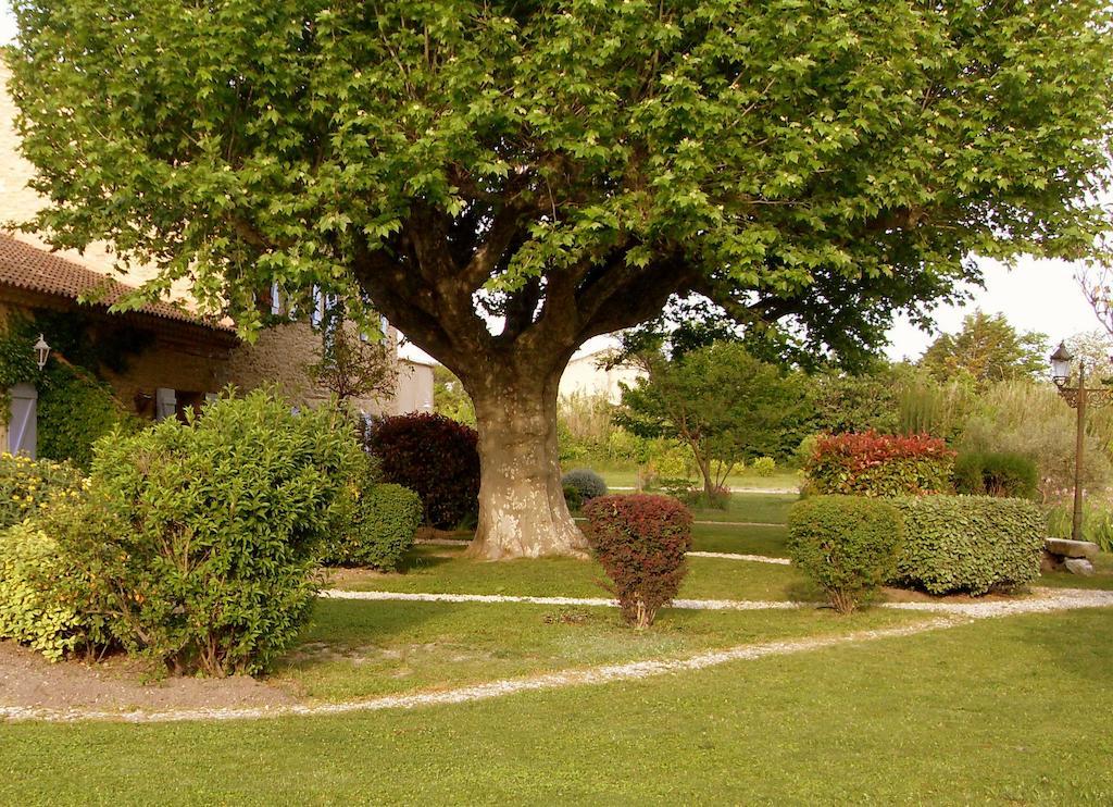 Mas Seraphin LʼIsle-sur-la-Sorgue Exterior foto